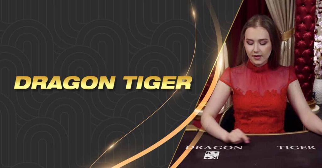 Dragon Tiger Lodi291